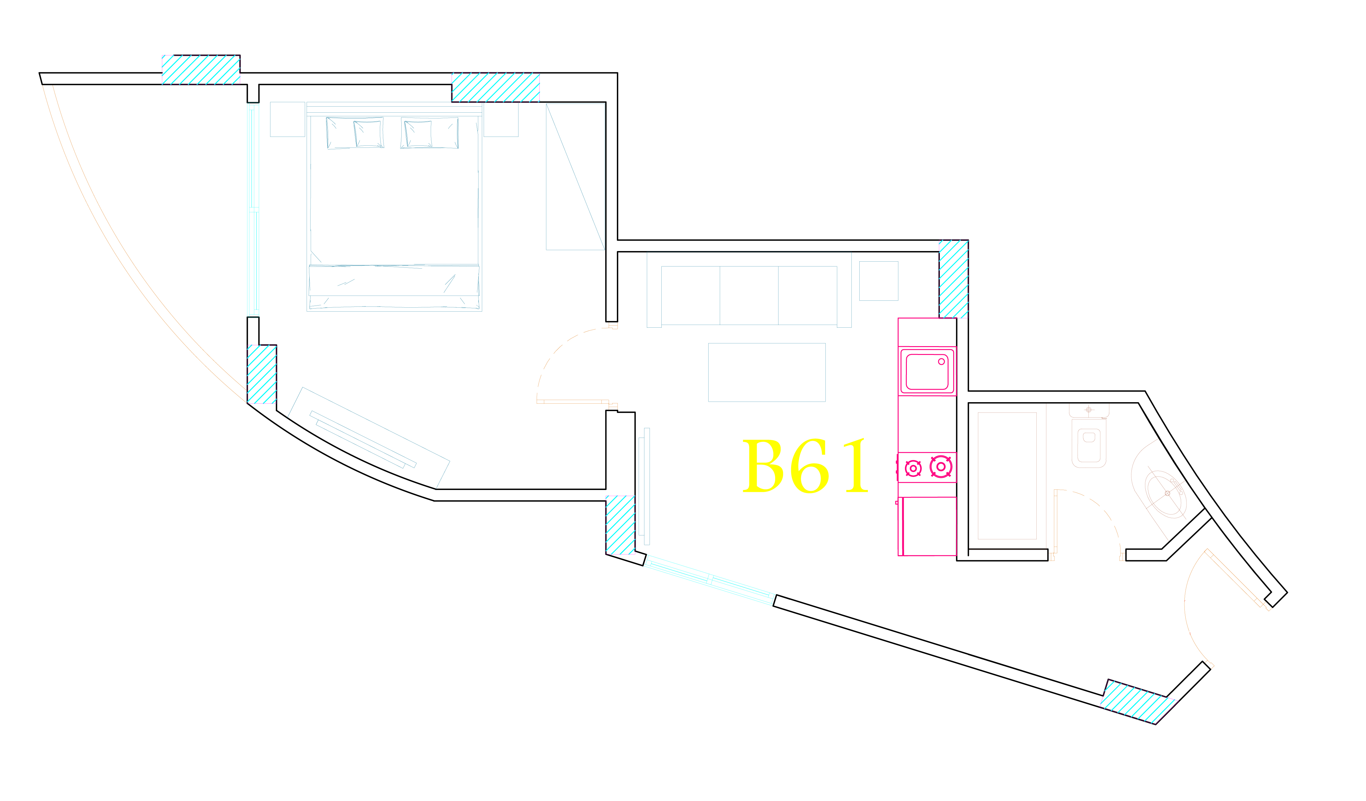 B61